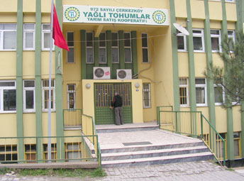 Yağışlar hem olumlu hem de olumsuz etkiledi
