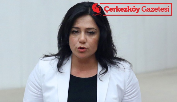 Kamu yatırımlarını meclise taşıdı