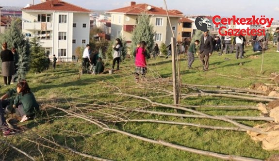 700 fidan toprakla buluştu