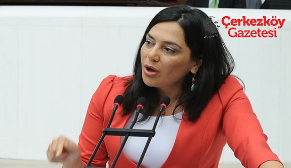 Yüceer: Çocuk istismarları sümen altı edilmiştir