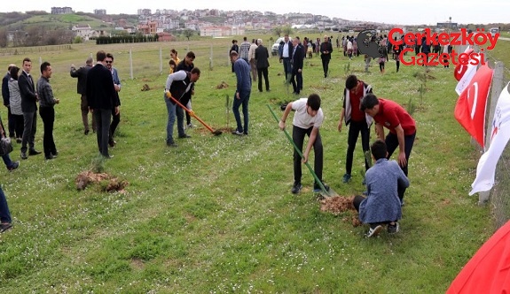 Çerkezköy Belediyesi 250 fidan daha dikti
