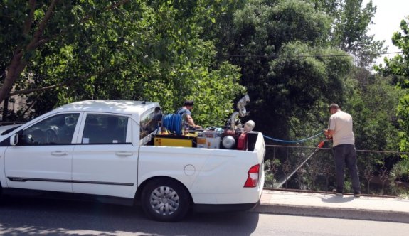 Larva ve uçkun mücadelesi devam ediyor