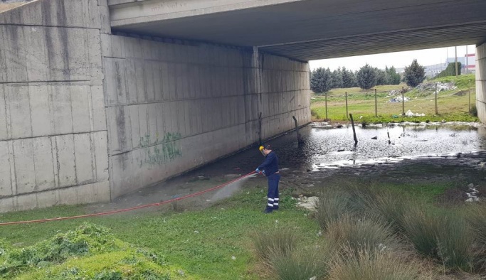 Tekirdağ genelinde larva ilaçlaması başladı