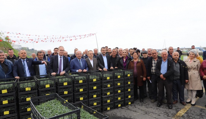 BÜYÜKŞEHİRDEN TARIMA DESTEK