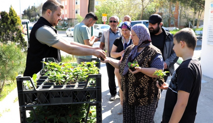 Mezarlık ziyaretine giden vatandaşa çiçek dağıtıldı