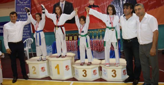 2. Uluslararası Taekwondo Şampiyonası düzenlendi